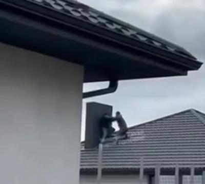 Скриншот з відео