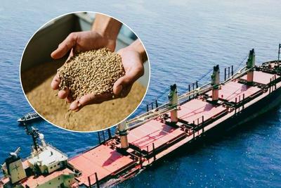 Скандал з краденим зерном: МЗС викликало посла Ізраїлю, Єрусалим відреагував