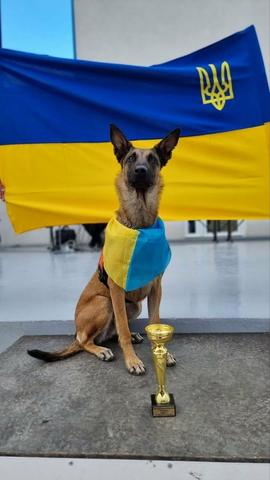 “Срібло” для Ремі: бельгійська вівчарка знайшла “маму з дитиною” за 15 хвилин