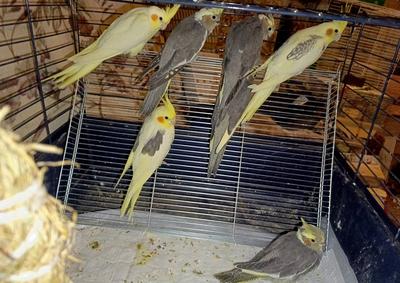 Фото з архіву Марії Матвійчук